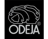 Logotip podjetja