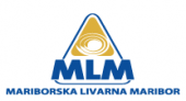 mlm_logo.png