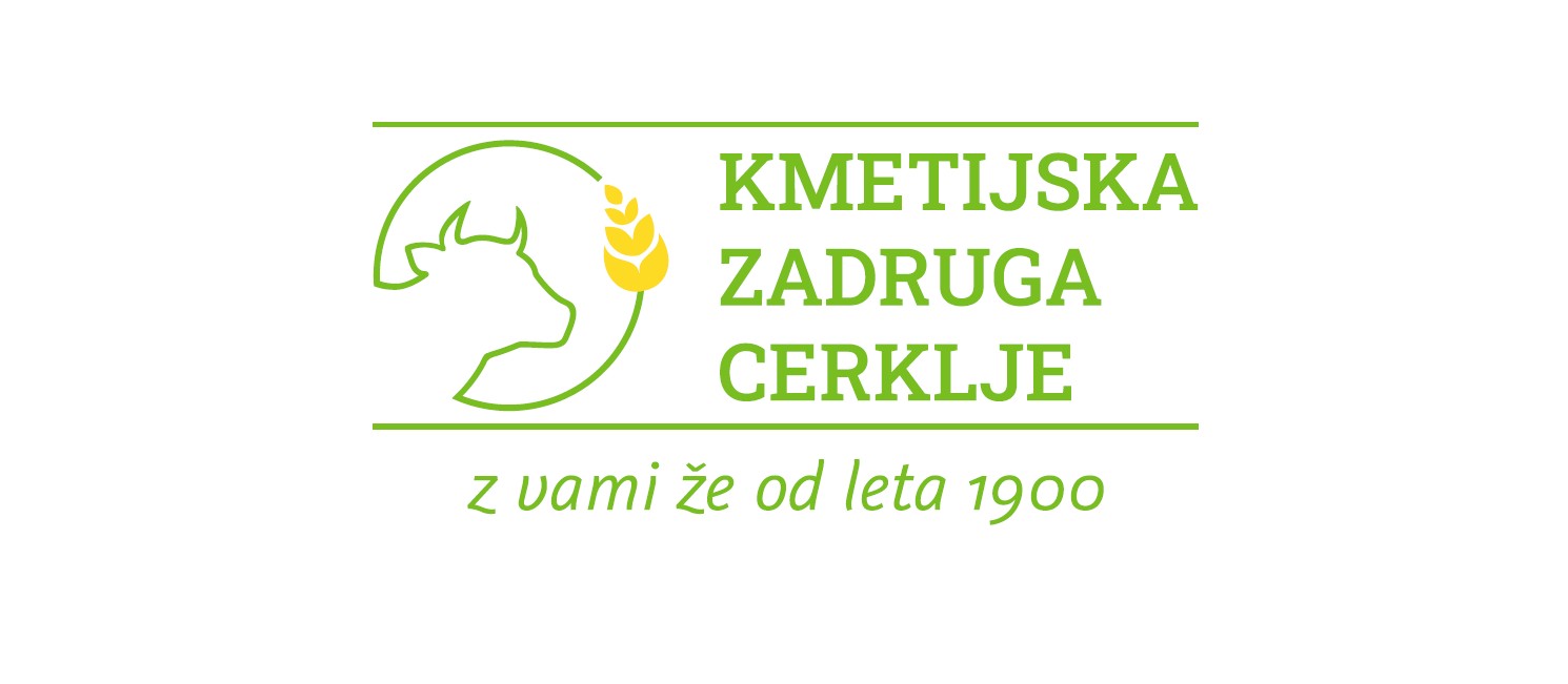 Delovno mesto