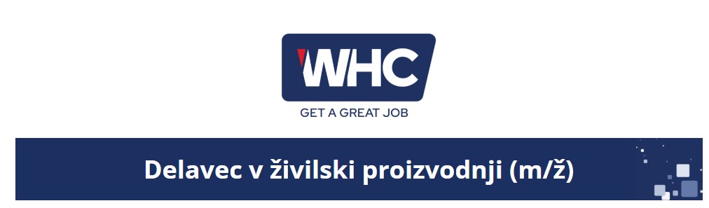 Nosilna slika za predstavitev delovnega mesta