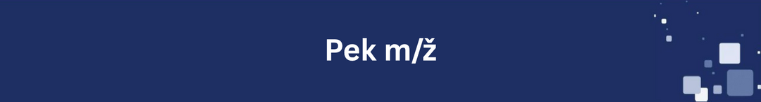 Nosilna slika za predstavitev delovnega mesta