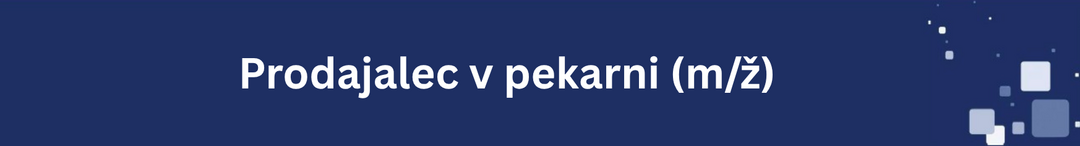 Nosilna slika za predstavitev delovnega mesta