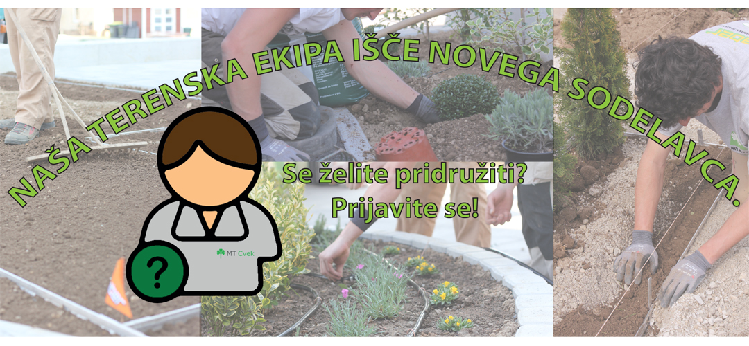 Delovno mesto