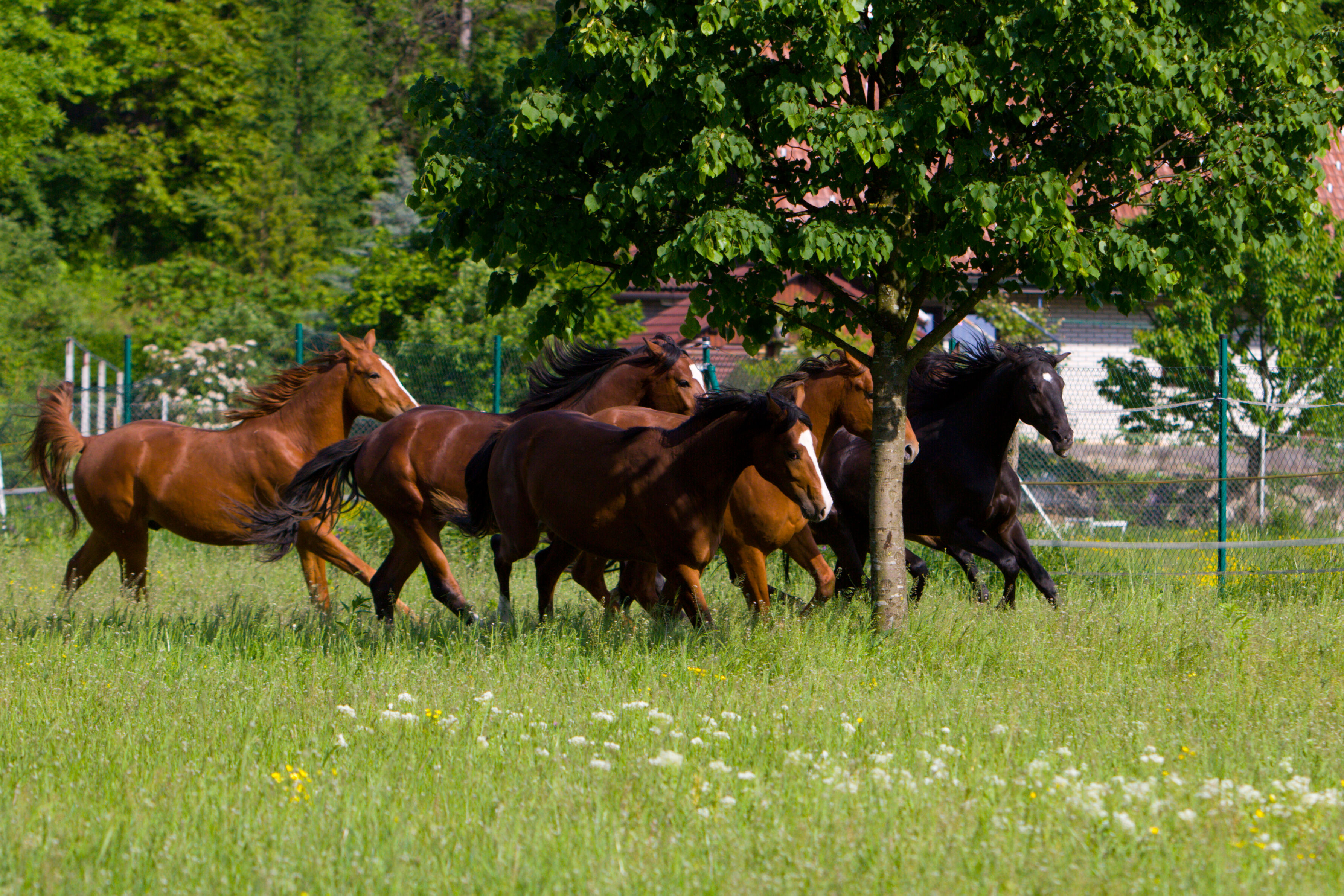 Delovno mesto