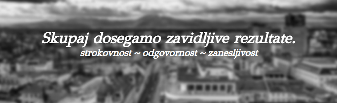 Delovno mesto