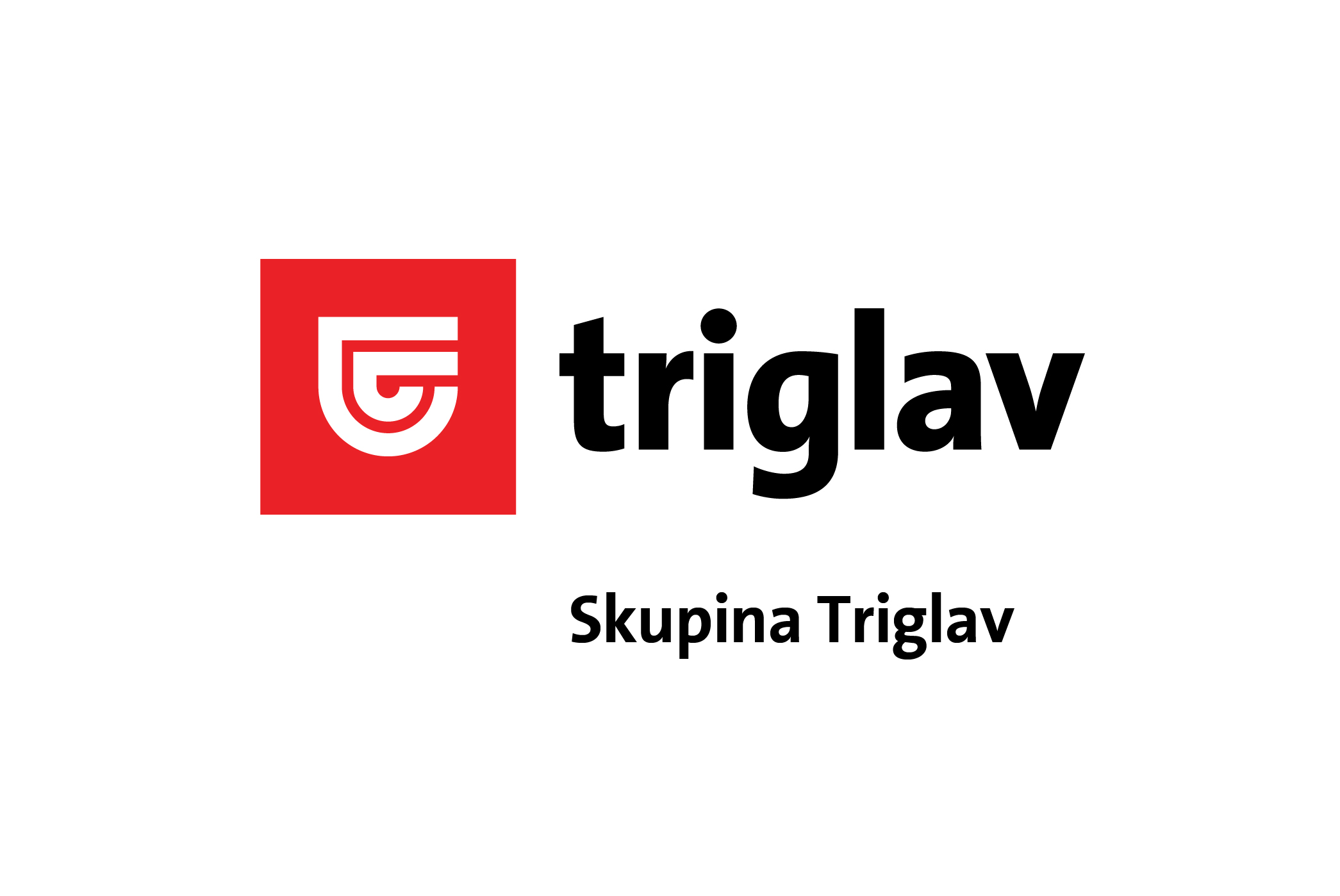lgogo Skupina Triglav 01